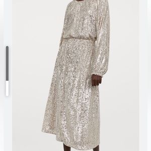 Sequin H&M Dress